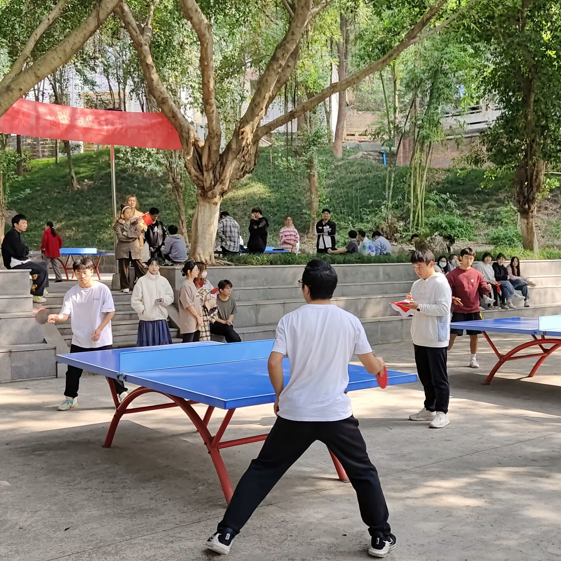 图片2.2.jpg