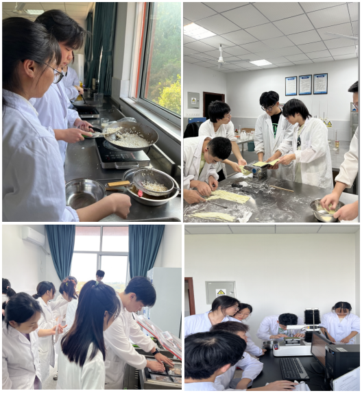 1QQ截图20240604144612.png