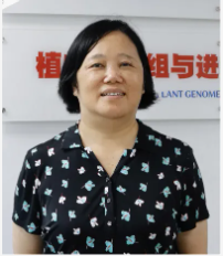 Q主讲人Q截图20241219100052.png