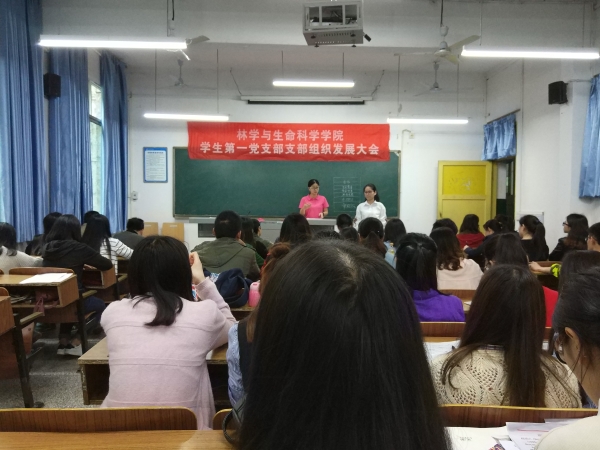 员工讲话1.jpg